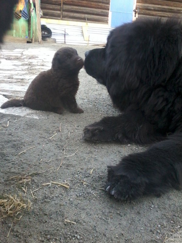 Фотография № 206581