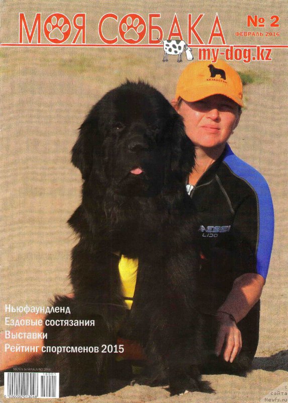 Фото: ньюфаундленд Би Перфект Арабелла, Ирина Павлова