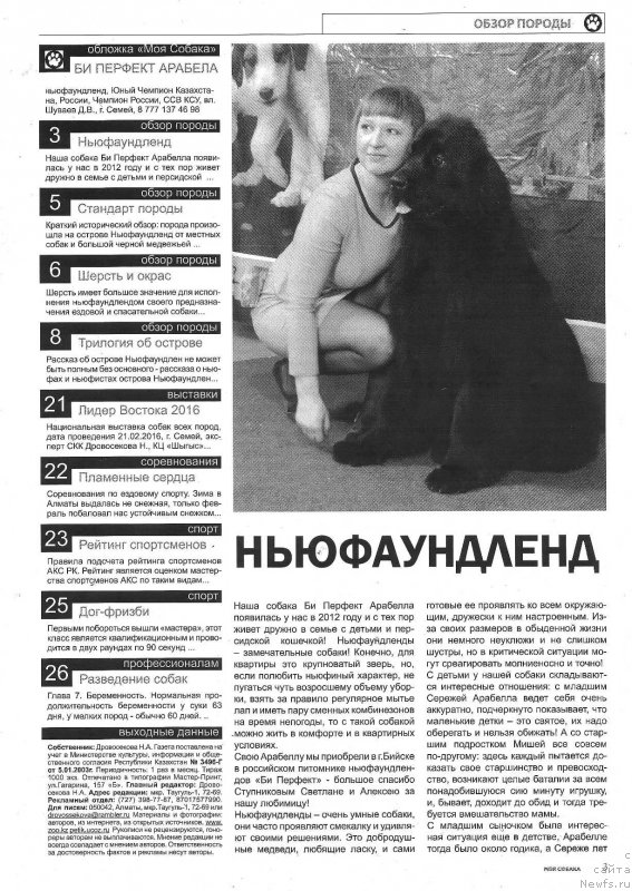Фото: ньюфаундленд Би Перфект Арабелла, Ирина Павлова