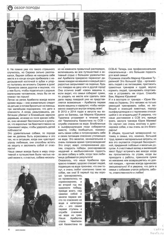 Фото: ньюфаундленд Би Перфект Арабелла, Ирина Павлова