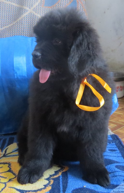 Фото: Екатерина Игошина