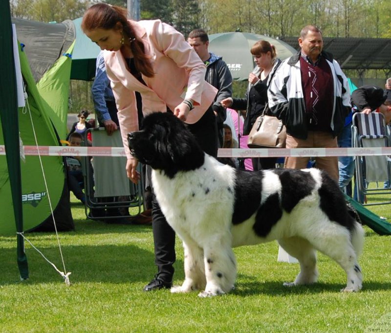 Фотография № 206603