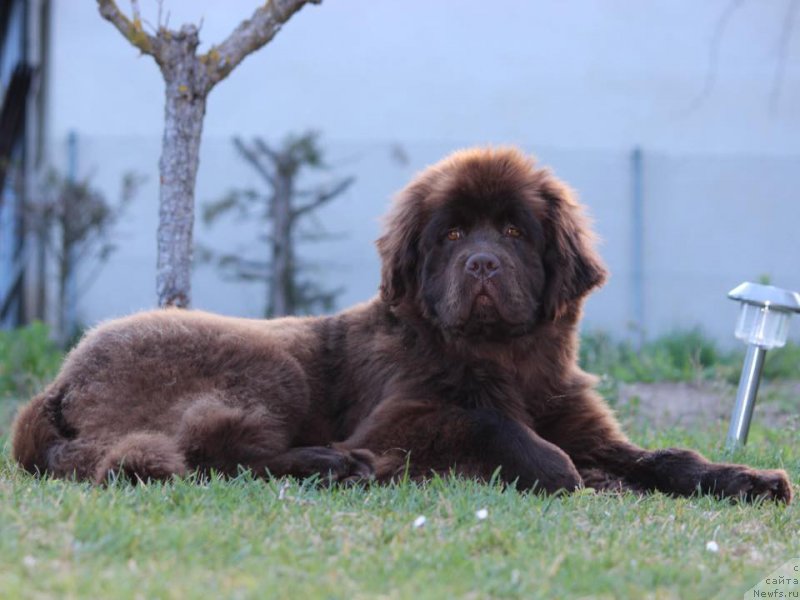 Фотография № 206604