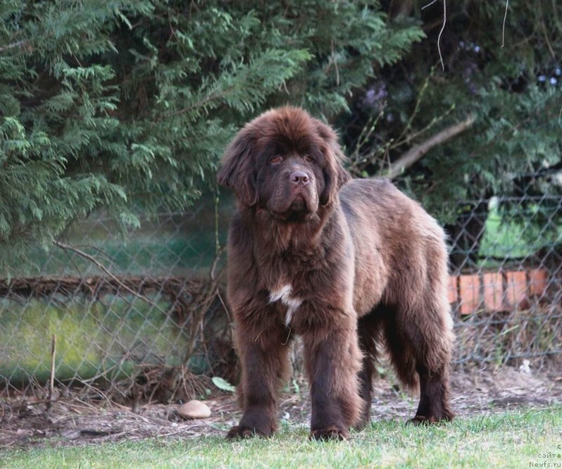 Фотография № 206606