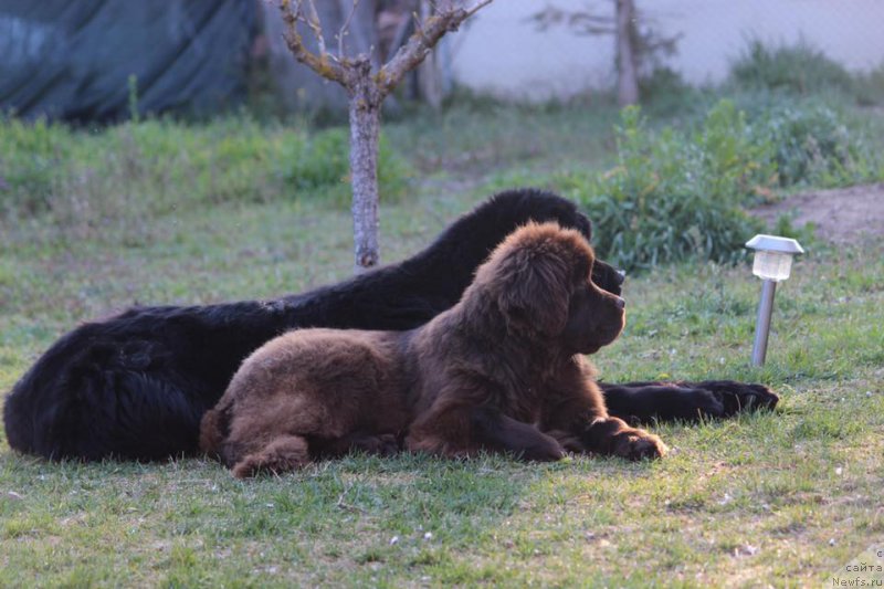 Фотография № 206607