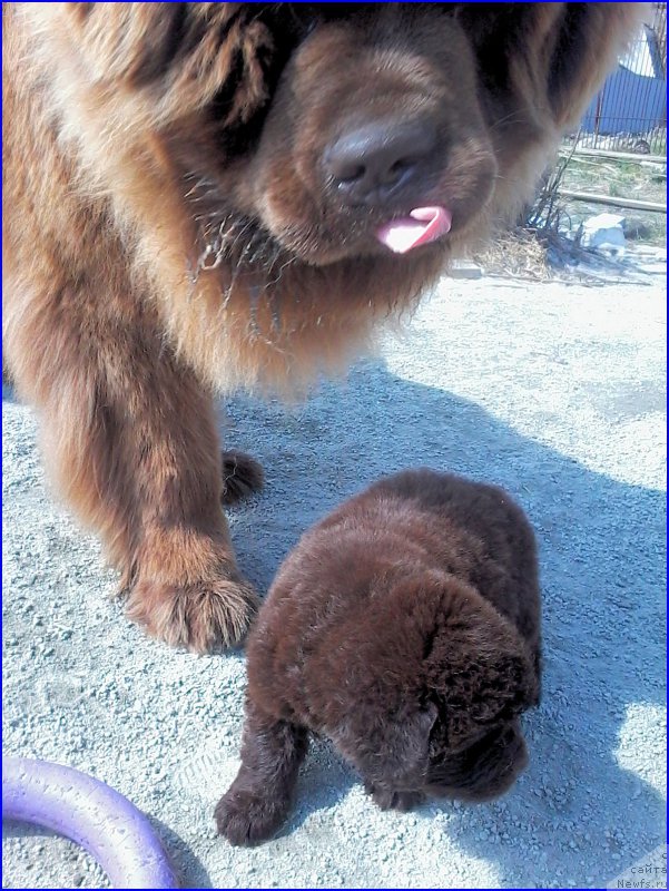 Фотография № 206617