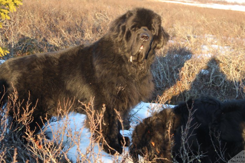 Фотография № 206670