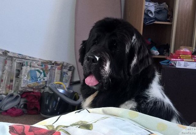 Фотография № 206693