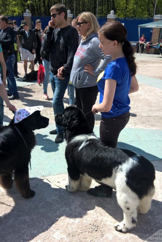 Фотография № 206694