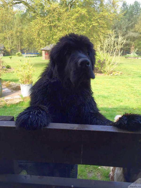 Фотография № 206698