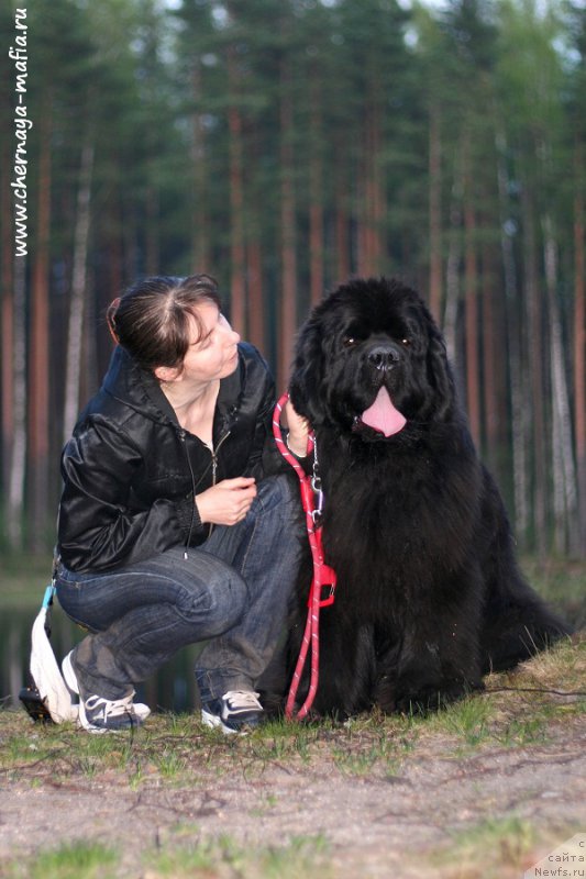 Фотография № 206705