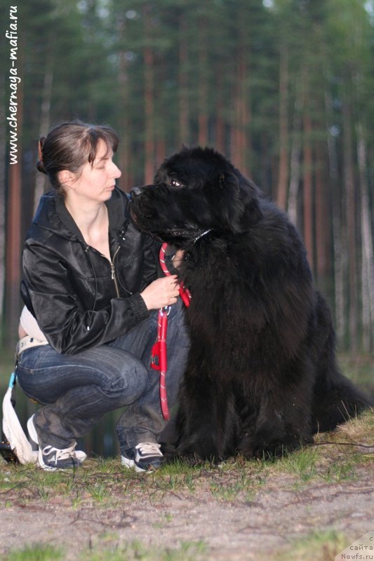 Фотография № 206706