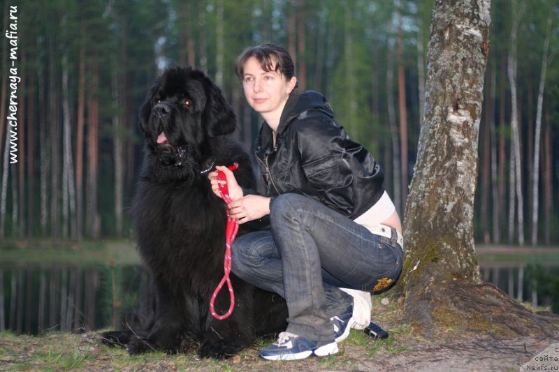 Фотография № 206707