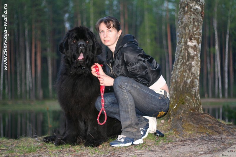 Фотография № 206708