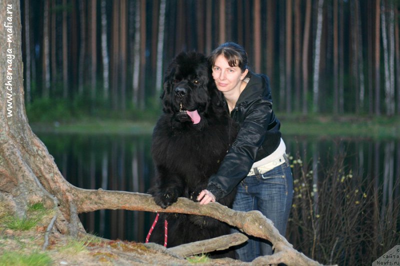 Фотография № 206709