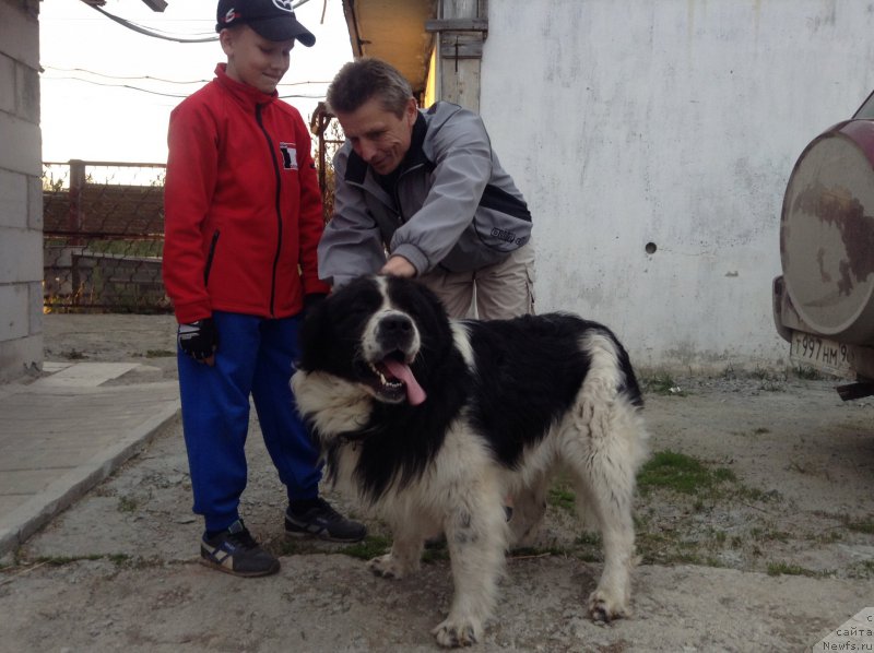 Фотография № 206717