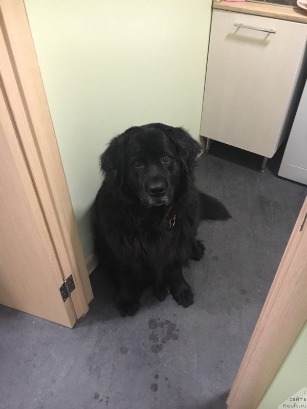 Фотография № 206719