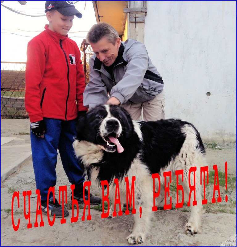 Фотография № 206720