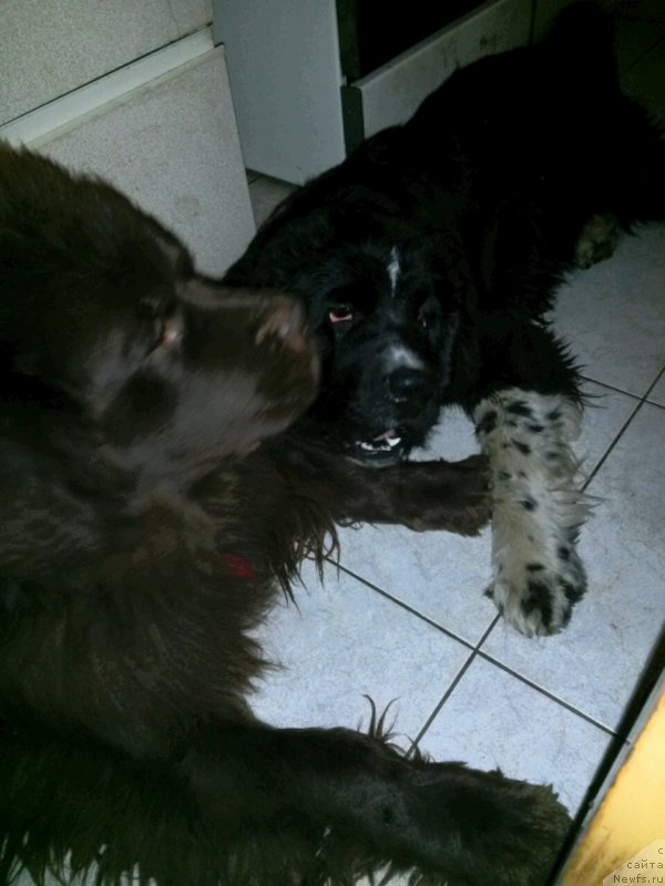 Фотография № 206721