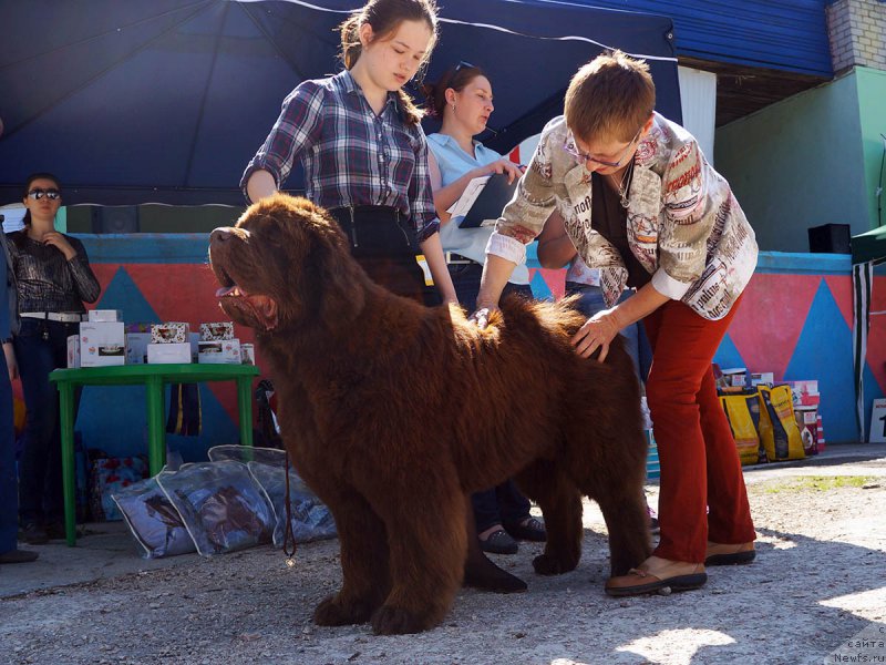 Фотография № 206727