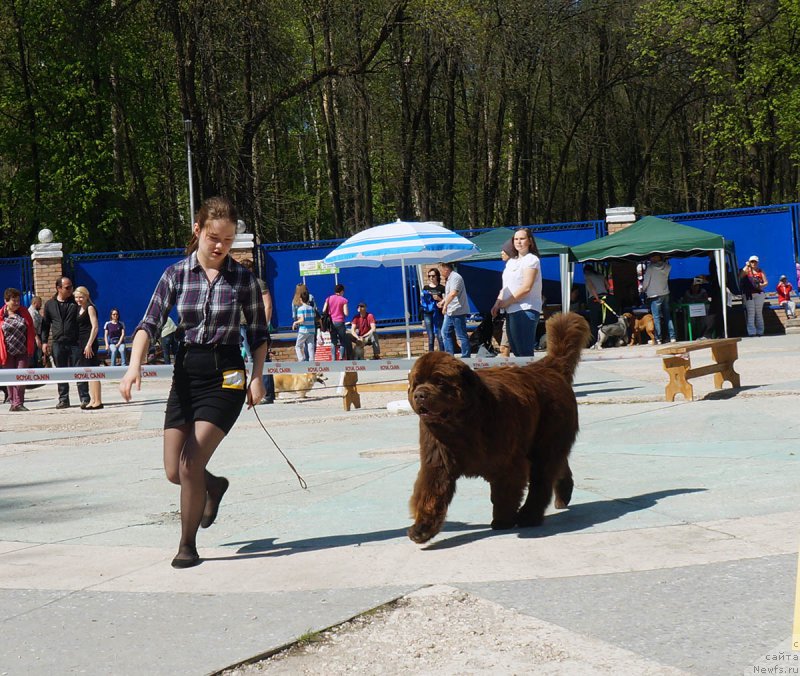 Фотография № 206728