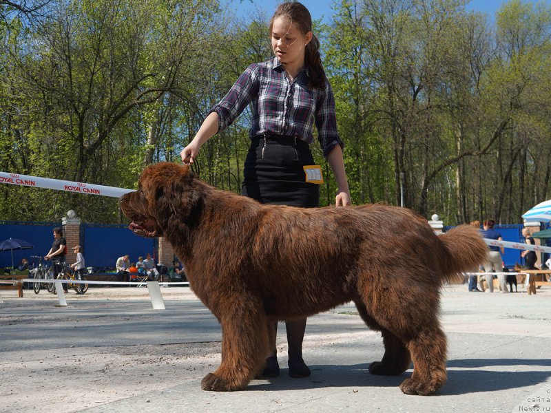 Фотография № 206729