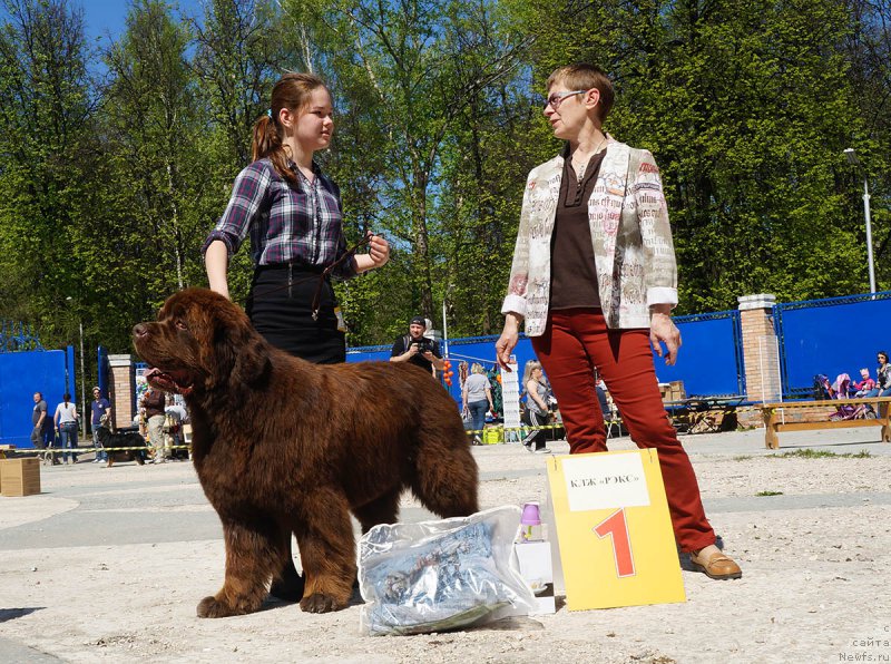 Фотография № 206730