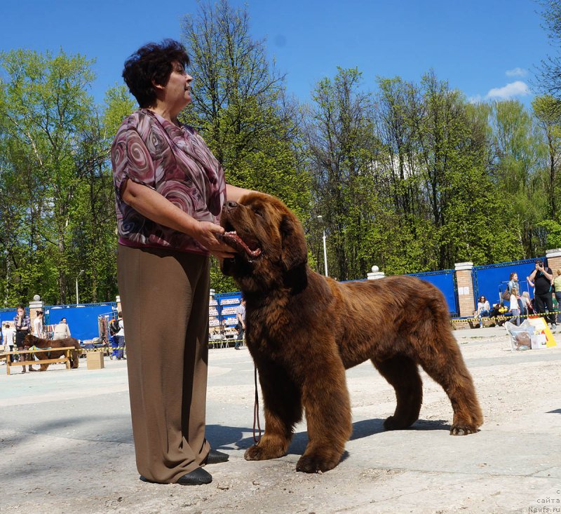 Фотография № 206731