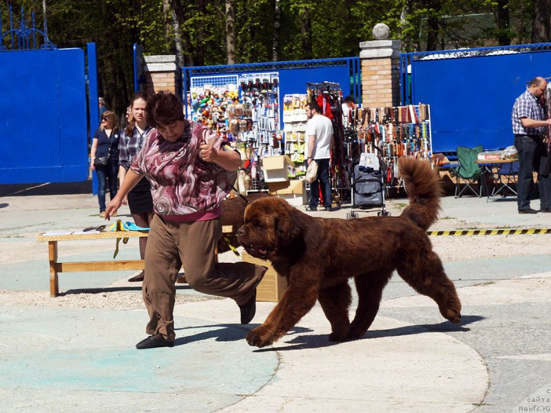 Фотография № 206732