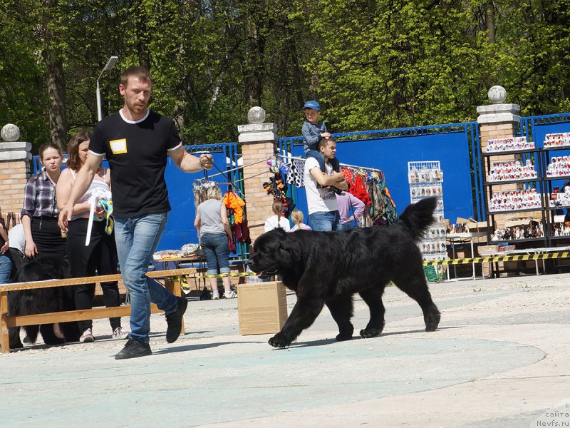 Фотография № 206734