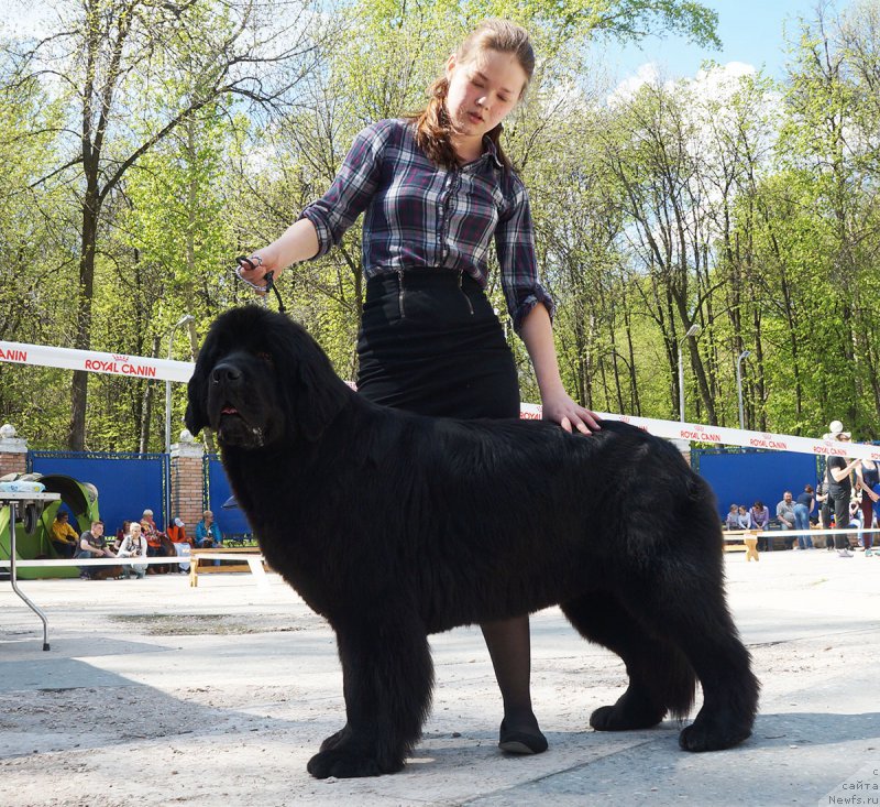 Фотография № 206735