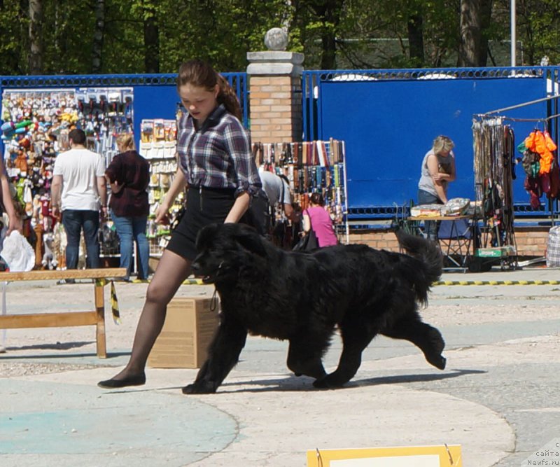 Фотография № 206737