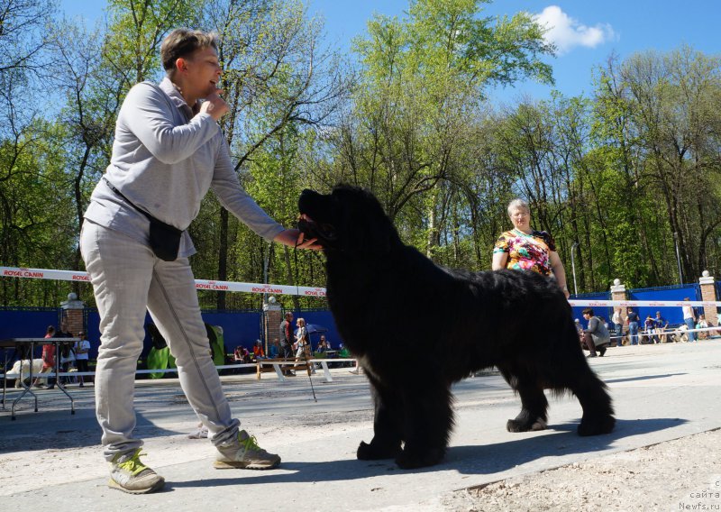 Фотография № 206740