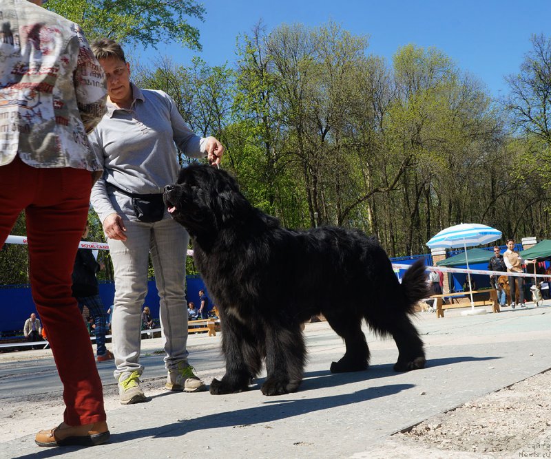 Фотография № 206741