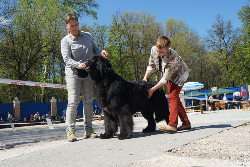 Фотография № 206742