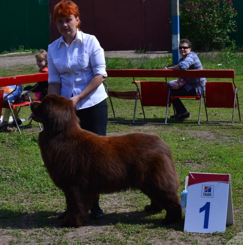 Фотография № 206782