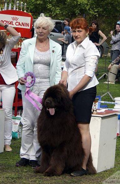 Фотография № 206789