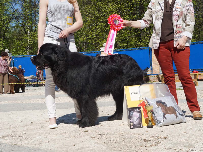 Фотография № 206806