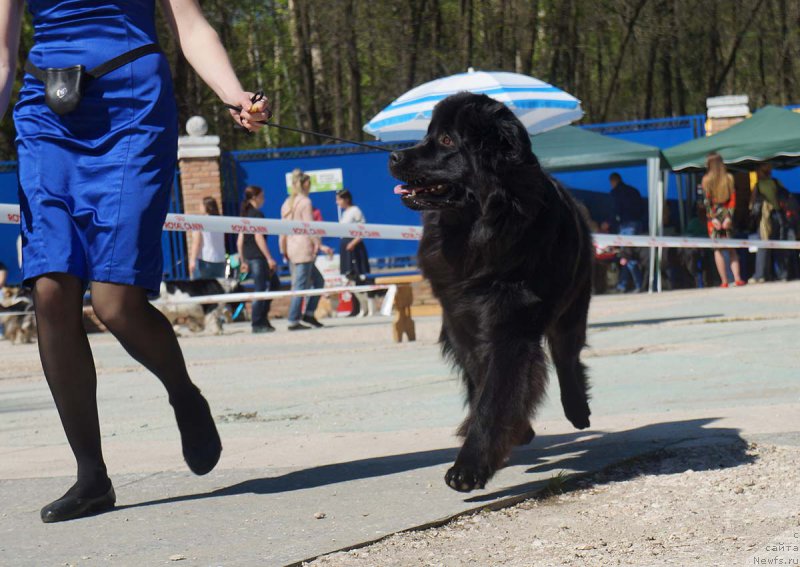 Фотография № 206807