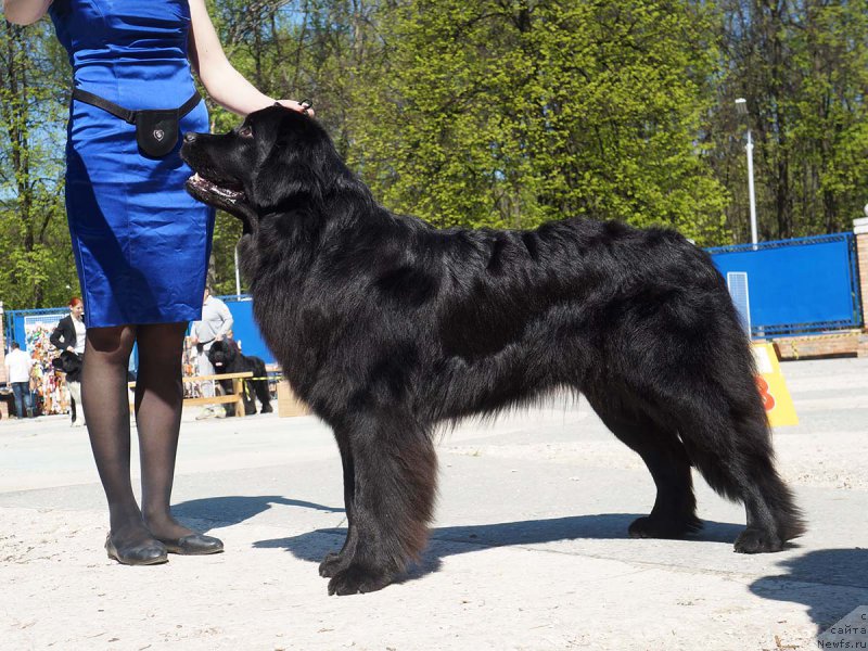 Фотография № 206808