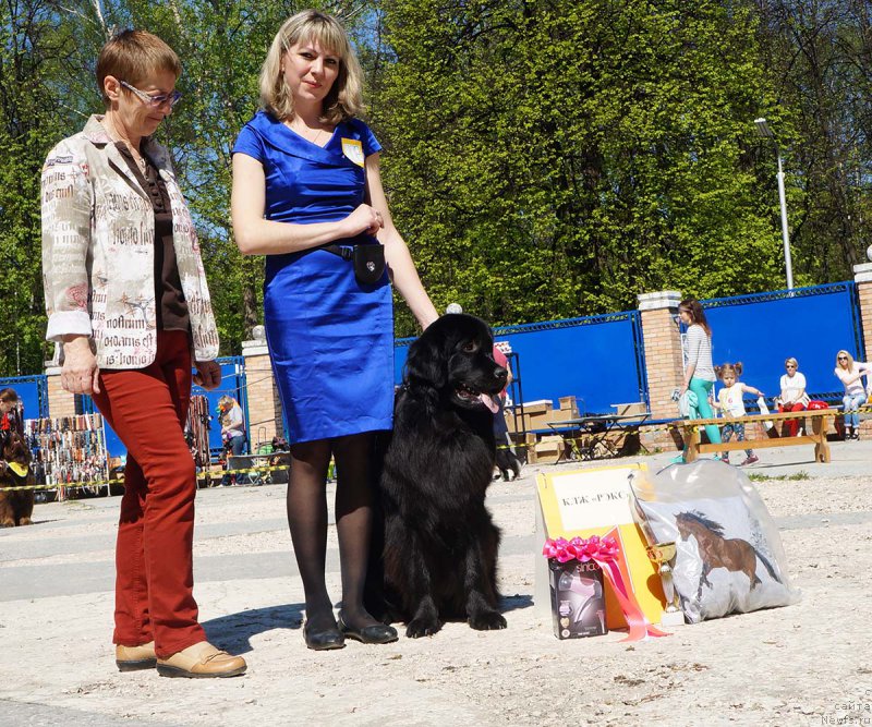 Фотография № 206809