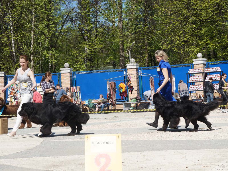 Фотография № 206810