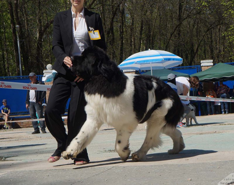 Фотография № 206814