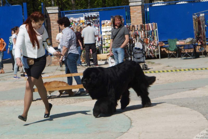 Фотография № 206819