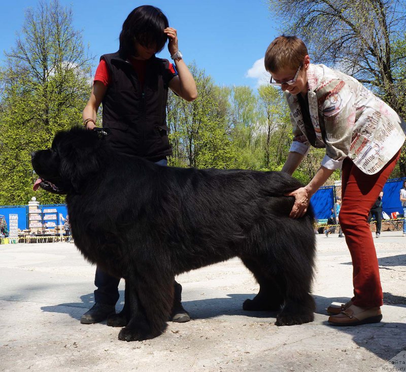 Фотография № 206821