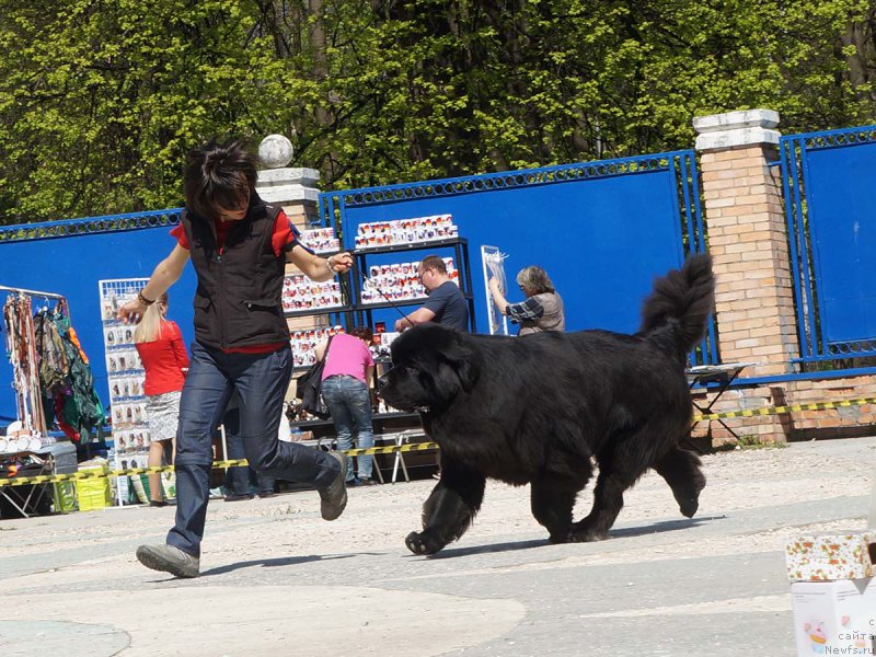 Фотография № 206822