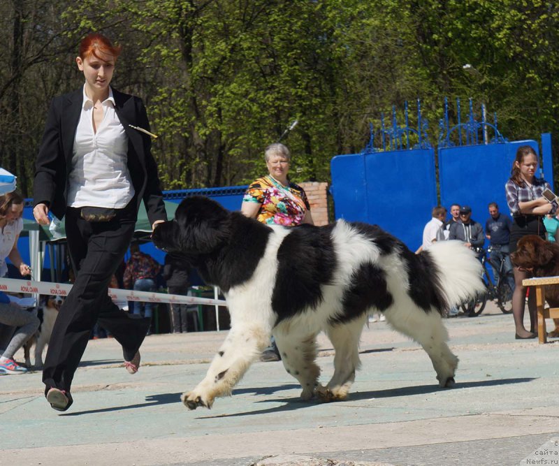 Фотография № 206824