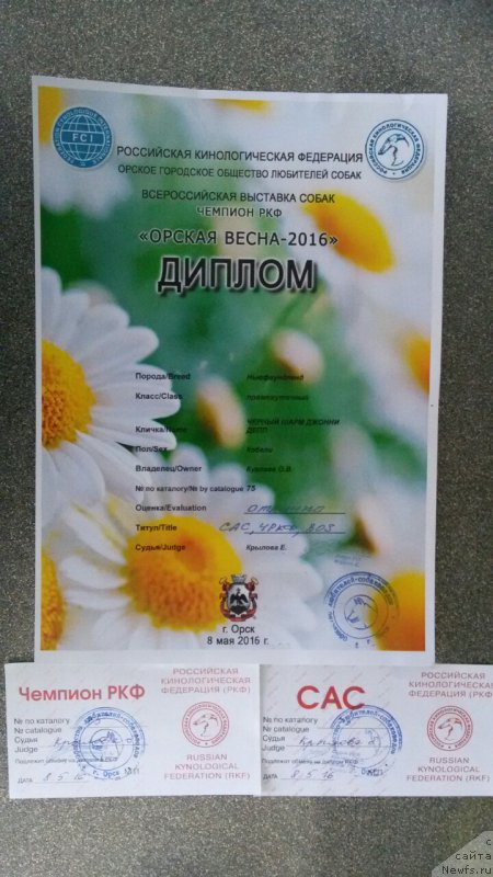 Фотография № 206825