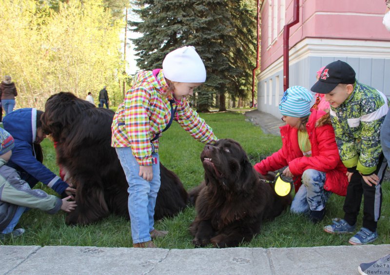 Фотография № 206830