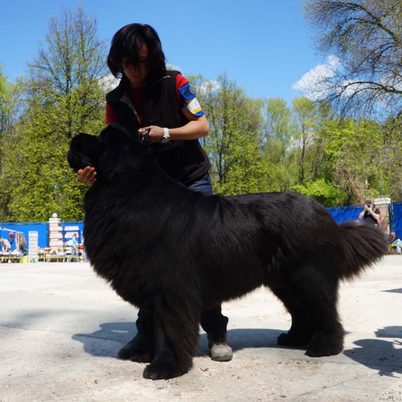 Фотография № 206852